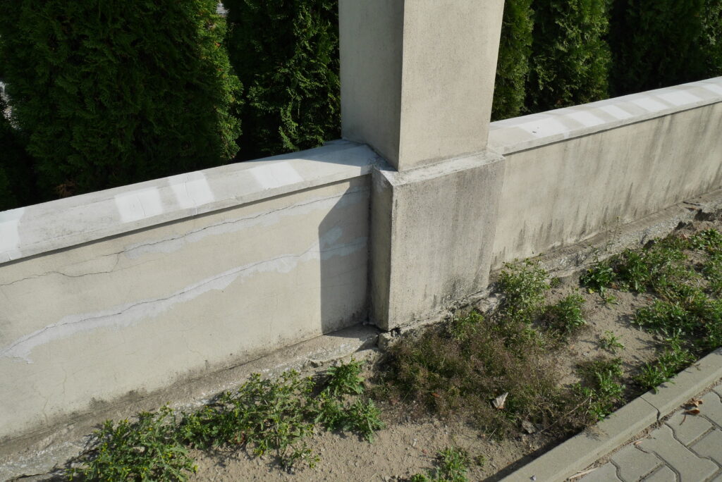 inwentaryzacja budynku inwentaryzacja zieleni